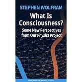 What Is Consciousness? Some New Perspectives from Our Physics Project (Stephen Wolfram Writings ePub Series)