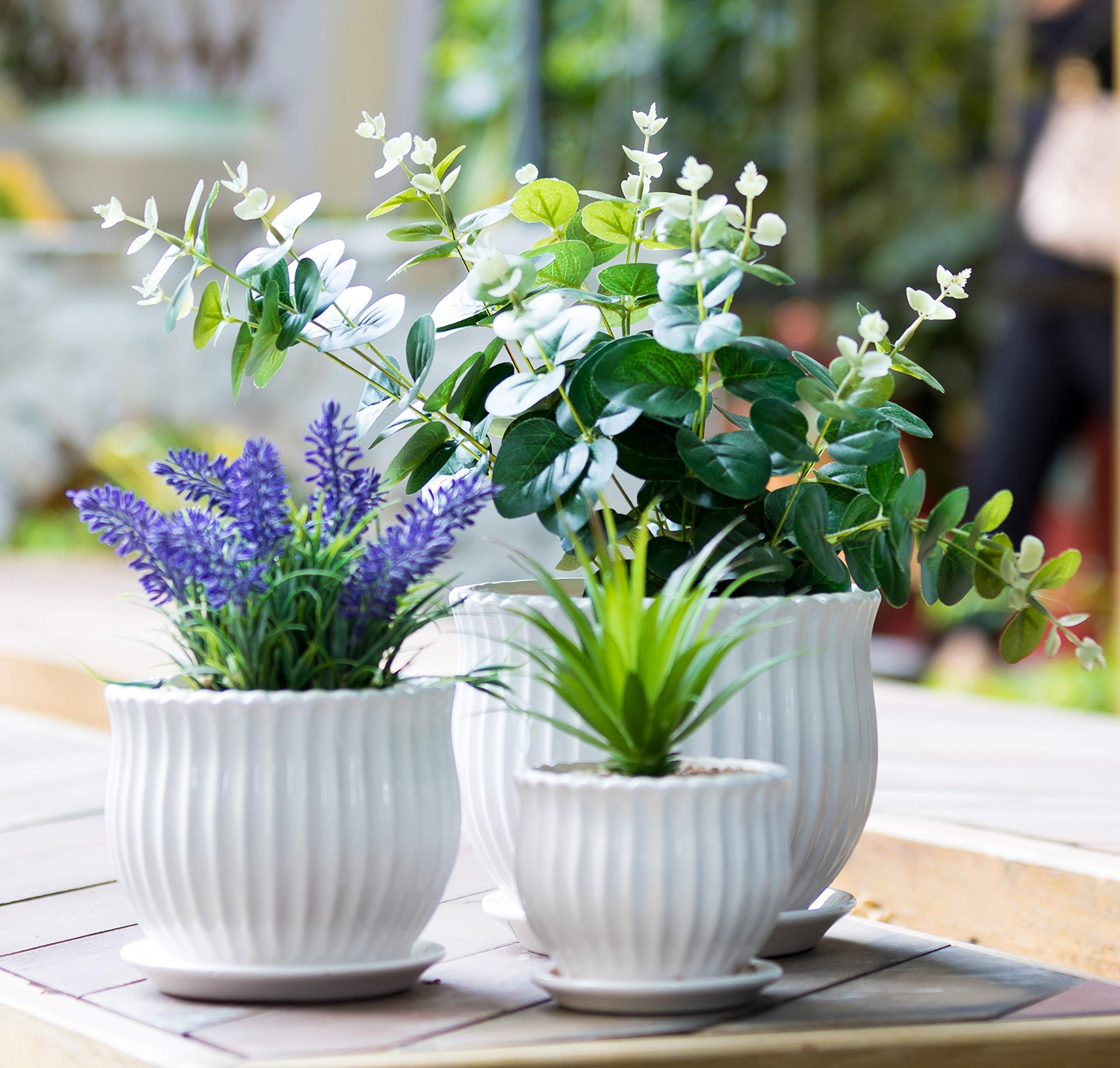 Photo 1 of Nattol Ceramic Flower Plant Pots with Saucers, Modern Round Ceramic Succulent Planter Pots with White Stripe Texture, Small to Medium Sized, Set of 3