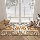 Color&Geometry Door Mats, 24"x36" Front Door Rugs for Entryway Indoor, Non Slip Washable Entry Rugs for Inside House 2x3, Absorbent Floor Mat Entryway Rug