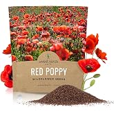 Red Poppy Seeds - Large 1 Ounce Packet - Over 200,000 Flower Seeds