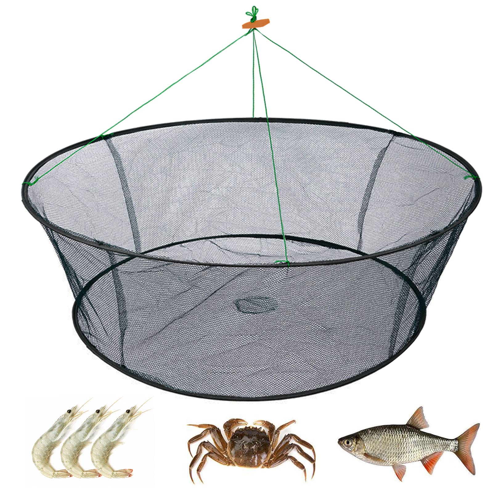 Photo 1 of ****BENDED ON ONE SIDE***WEISGJA Portable Folded Fishing Net, Crab Net Fish Net with Fishing Rope, Hand Casting Cage Crab Net, Foldable Fishing Mesh Trap for Minnows,Lobster,Crawfish,Shrimp etc. (31.5inch/80cm)