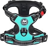 PoyPet No Pull Dog Harness Reflective Front & Back Clips Mint Blue Medium