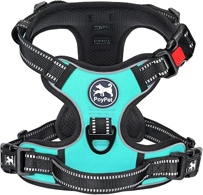 PoyPet No Pull Dog Harness Reflective Front Chest Clip Size S Mint Blue