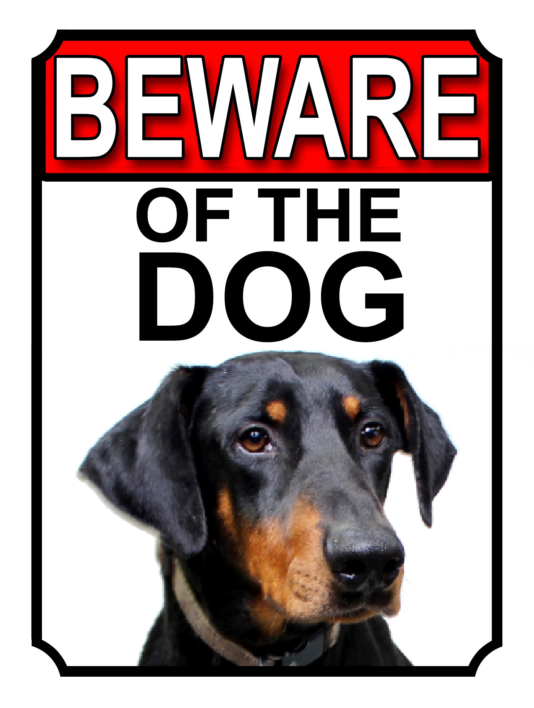 Shawprint Limited BEWARE OF THE DOG METAL GATE SIGN DOBERMAN PINSCHER 200MM X 150MM (1127H1)