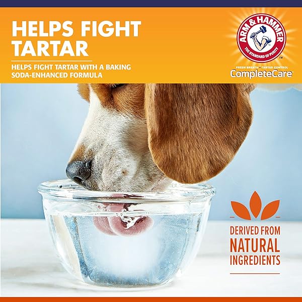 ARM & HAMMER DOG DENTAL WATER ADDITIVE BREATH FRESHENER, ODORLESS FLAVORLESS ORAL CARE SOLUTION FOR PLAQUE AND TARTAR CONTROL, DAILY NO BRUSH DENTAL SUPPORT FOR DOGS, 16 FL OZ