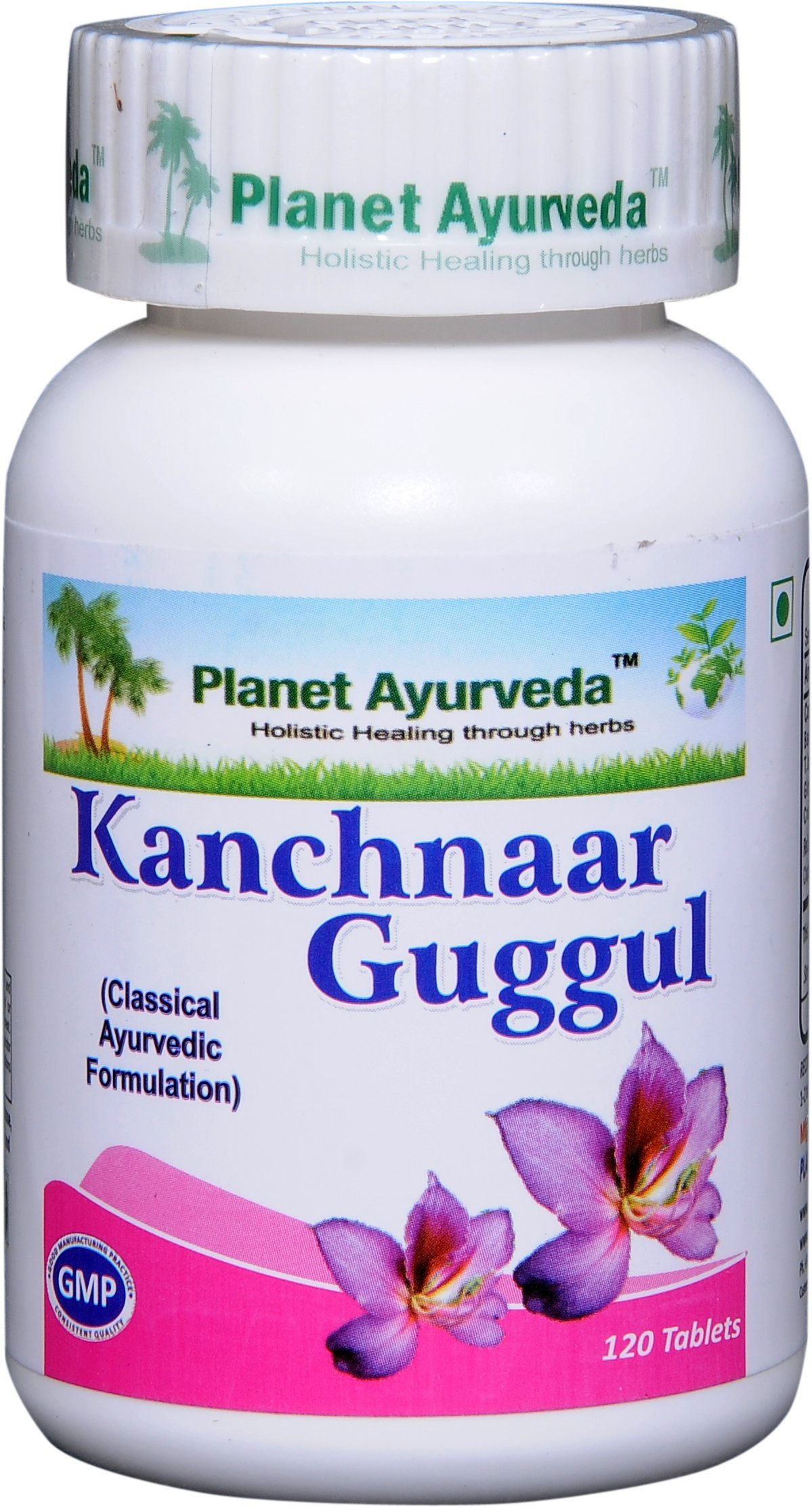 Ayurveda Kanchnaar Guggul Herbal Tablets, 100 Natural 2