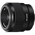 Sony - FE 50mm F1.8 Standard Lens (SEL50F18F), Black