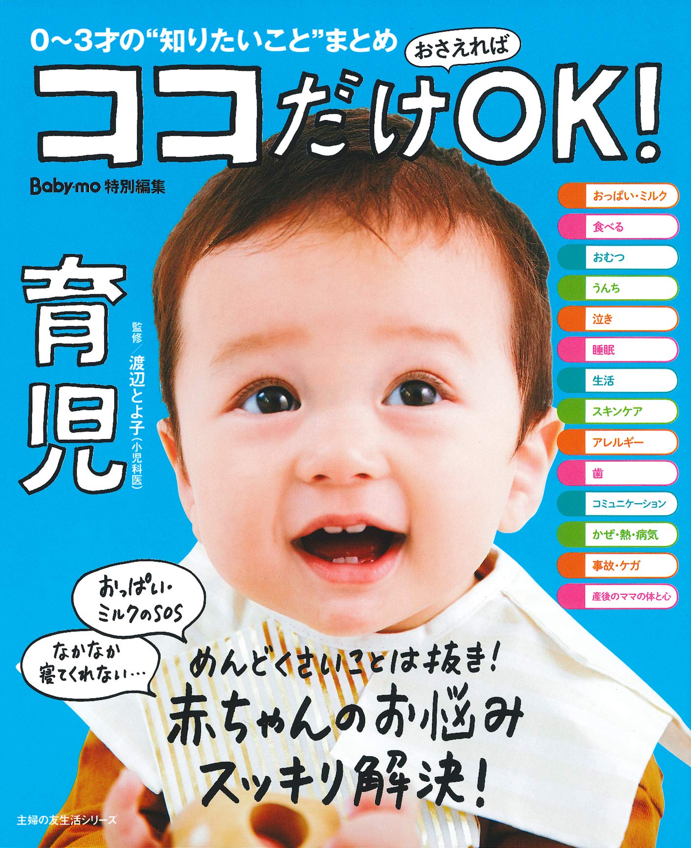 ココだけおさえればｏｋ 育児 主婦の友生活シリーズ 渡辺 とよ子 本 通販 Amazon