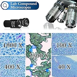 40X-2500X LED Compound Binocular