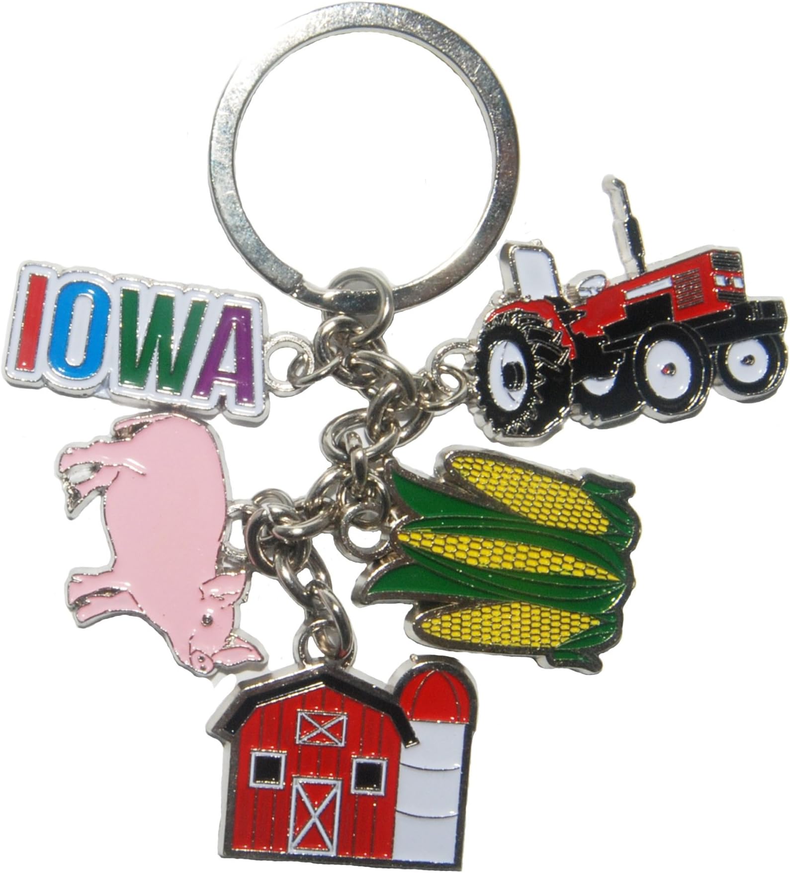 State of Iowa 5 Charm Keychain