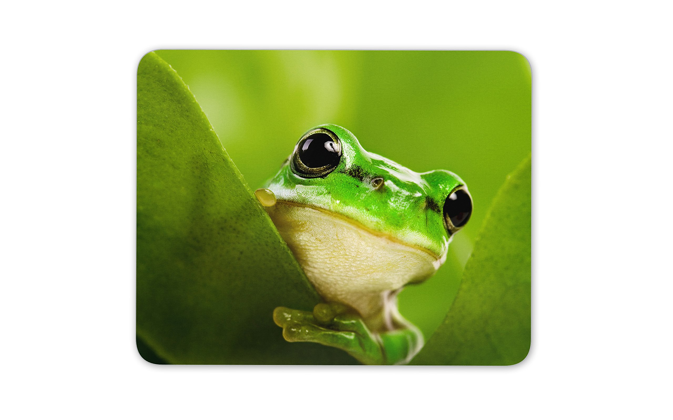 Destination Vinyl Ltd Funny Green Frog Mouse Mat Pad - Frogs Kids Toad Gift PC Computer #8229