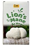 Lion's Mane Grow Kit (one kit), 3.2 Pound Log