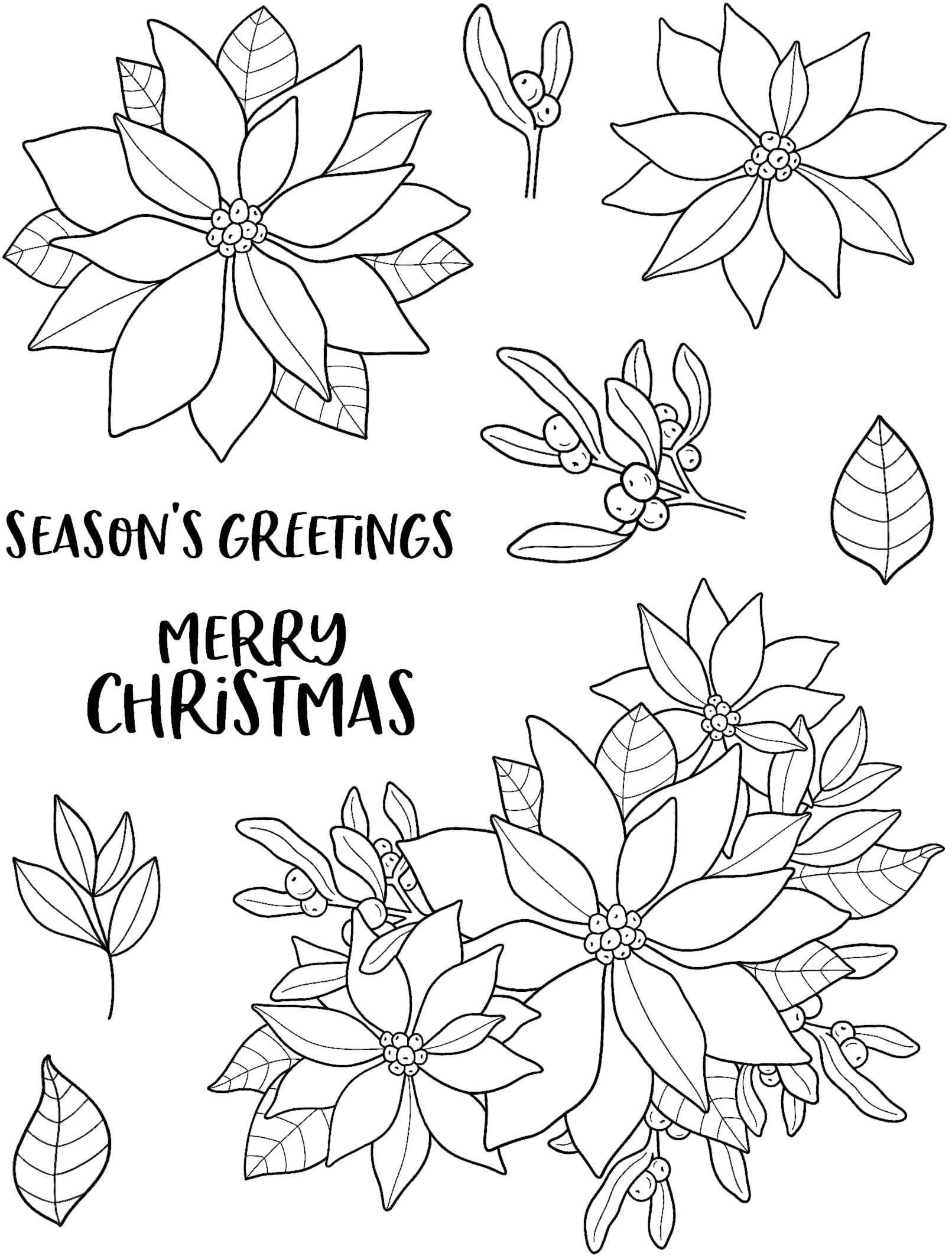 Creative Expressions Jane's Doodles Clear Stamp Set-Poinsettia, 6 in x 8 in