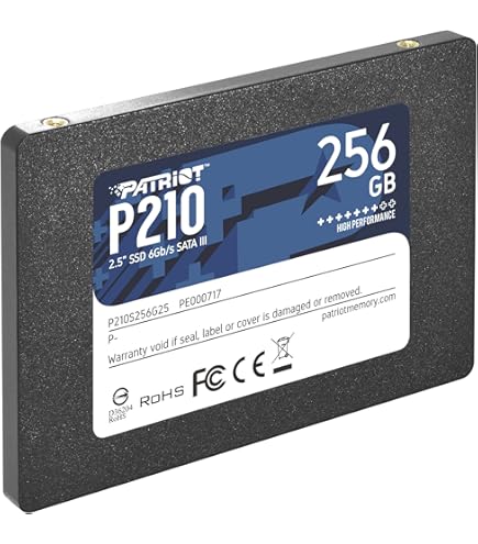 Amazon.com: Patriot Memory Burst Elite SATA 3 960GB SSD 2.5