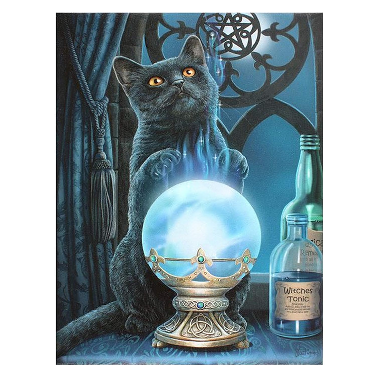 Tableaux Impressions Sur Toile Tableau Chat Apprenti Sorcier The Witchs Apprentice Lisa Parker Napravi Rs