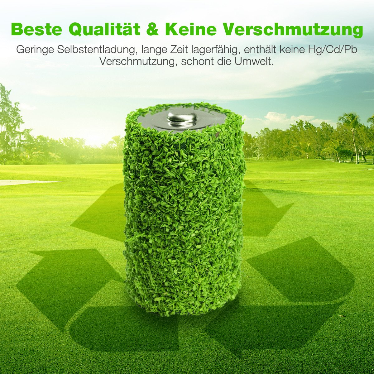 EBL 5 Stück 27A Alkaline Batterie Typ A27 MN27 V27A WE27A L828 Batterien