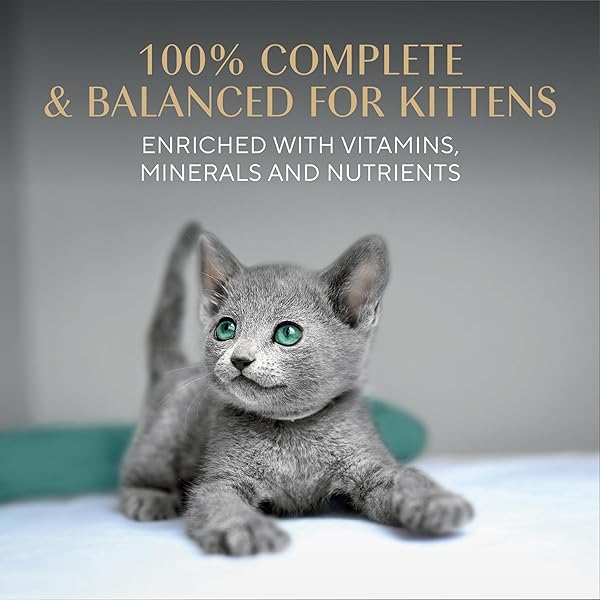 SHEBA PERFECT PORTIONS KITTEN WET CAT FOOD PATE CHICKEN ENTREE AND SALMON ENTREE, 2.6 OZ. TWIN-PACK TRAYS (12 COUNT, 24 SERVINGS)