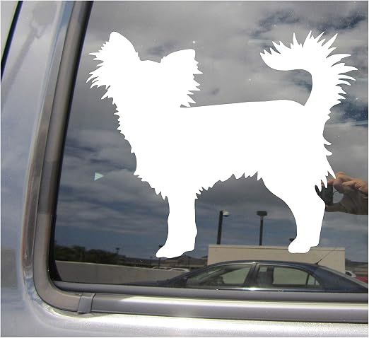 Amazon Com Right Now Decals Long Haired Chihuahua Dog Chi