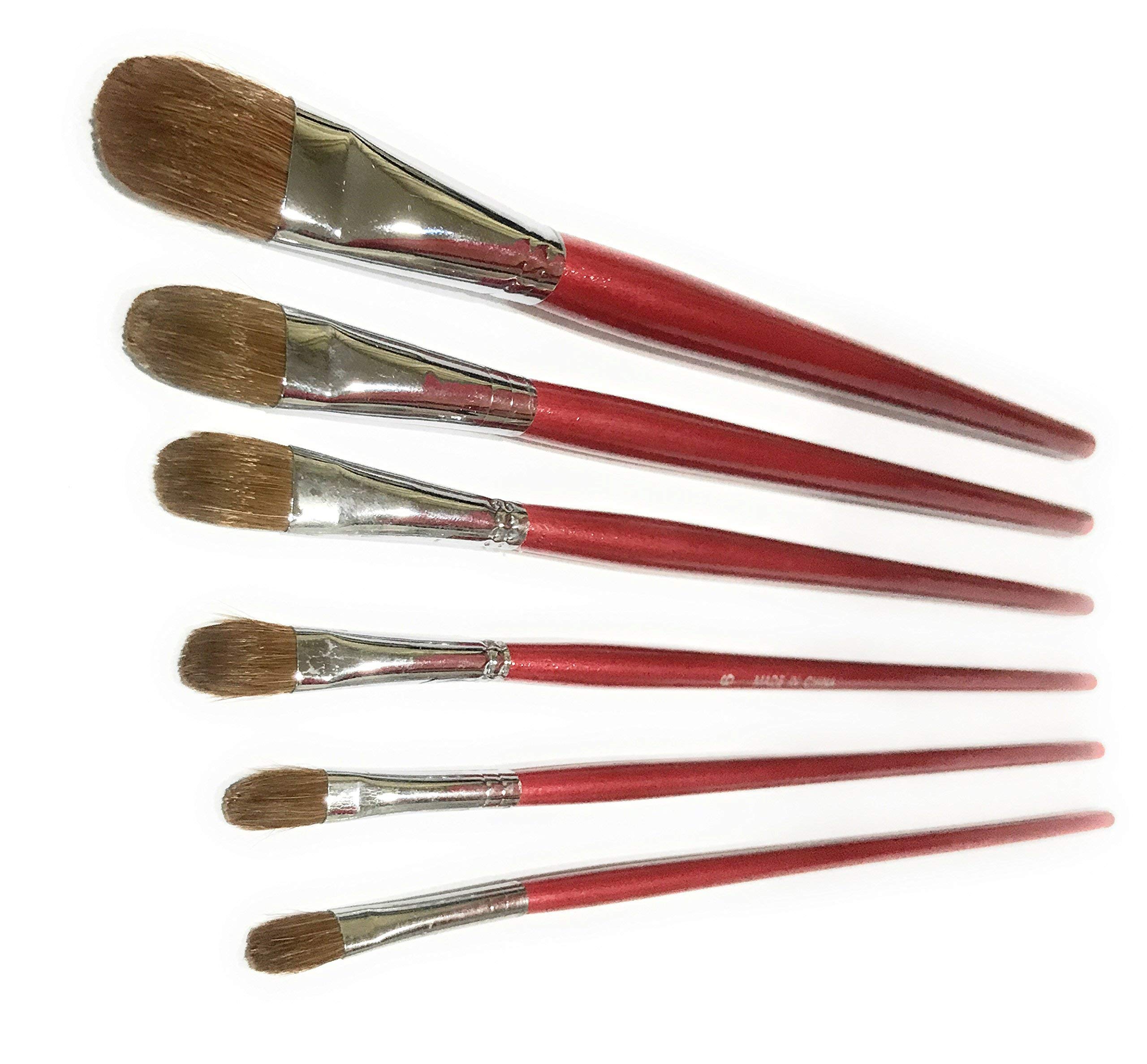 Professional Artist Paint Brushes 6 Pieces Set No Shed Bristles Wood