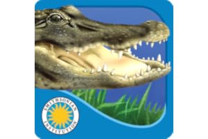 Alligator at Saw Grass Road - Smithsonian's Backyard