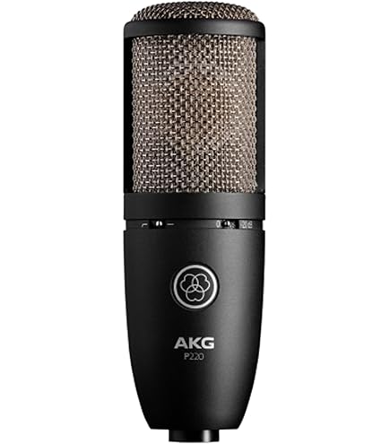 AKG P220 コンデンサーマイクロフォン 81Lbc8ldVtL._AC_UL495_SR435,