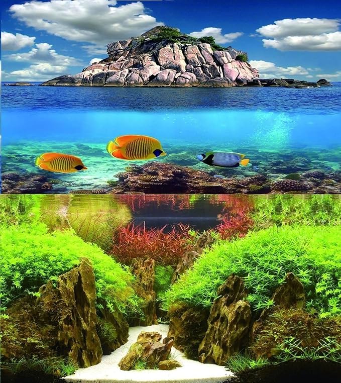 24" (60cm) Double Sided Aquarium Background Backdrop Fish Tank Reptile