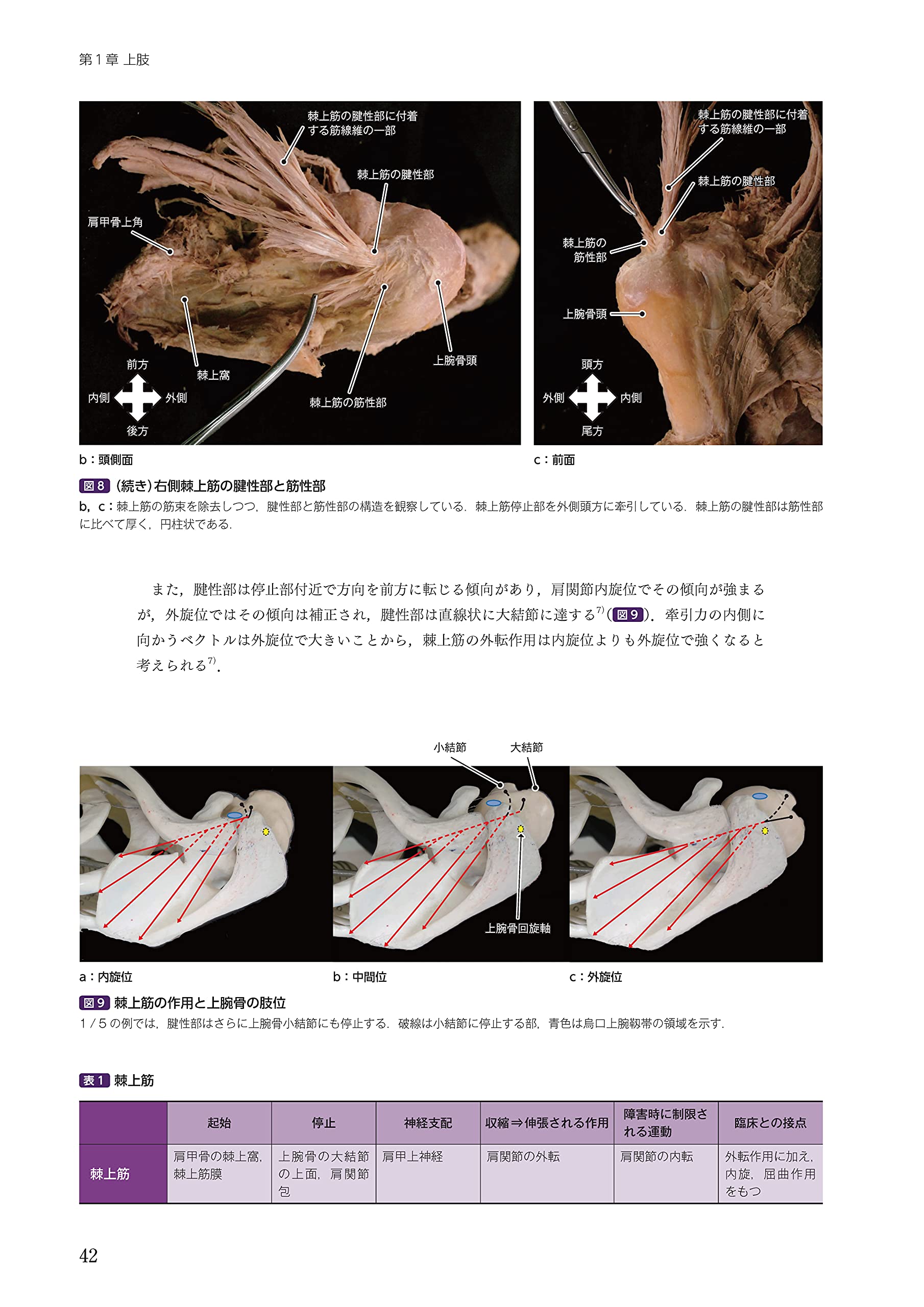運動療法その前に 運動器の臨床解剖アトラス 北村清一郎 工藤慎太郎 安友正幸 岡部孝生 野口七恵 北村清一郎 馬場麻人 工藤慎太郎 本 通販 Amazon