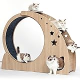 5-in-1 Cat Wheel,Cat Exercise Wheel,41.3" High