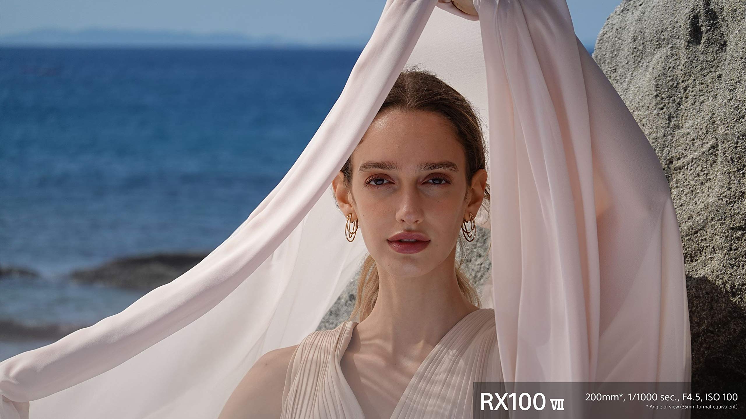 Sony RX100 VII Premium Compact Camera with 1.0-type stacked CMOS sensor (DSCRX100M7)