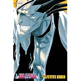 Bleach (3-in-1 Edition), Vol. 5: Includes vols. 13, 14 &amp; 15