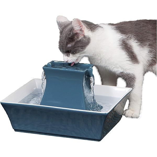 cat drinking fountain target