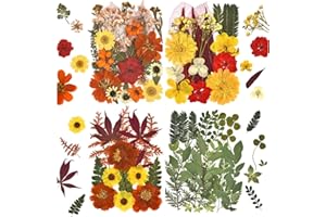 DALARAN 75 PCS Orange Natural Dried Flower for Soap Making, Candle Making and Resin Jewelry Making Pressed Flower Art Floral Decors