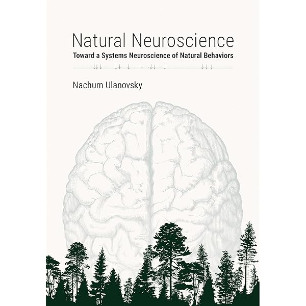 洋書 Bayesian Brain The Bayesian brain: Phantom percepts resolve sensory