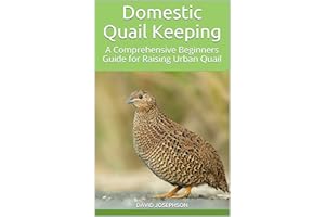 Domestic Quail Keeping : A Comprehensive Beginners Guide for Raising Urban Quail