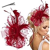 Arvintas Fascinators Hats for Women Tea Party Headwear Tea Party Hats for Women Flower Mesh Ribbons Feathers Headband Hair Accessories