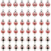 30PCS Ladybug Enamel Charms, Red Ladybird Shape Alloy Enamel Pendants Findings, Insect Beetle Alloy Charms Bulk, Animals Dangle Charms for Women Necklace Bracelet Earrings Jewelry Making DIY Crafts