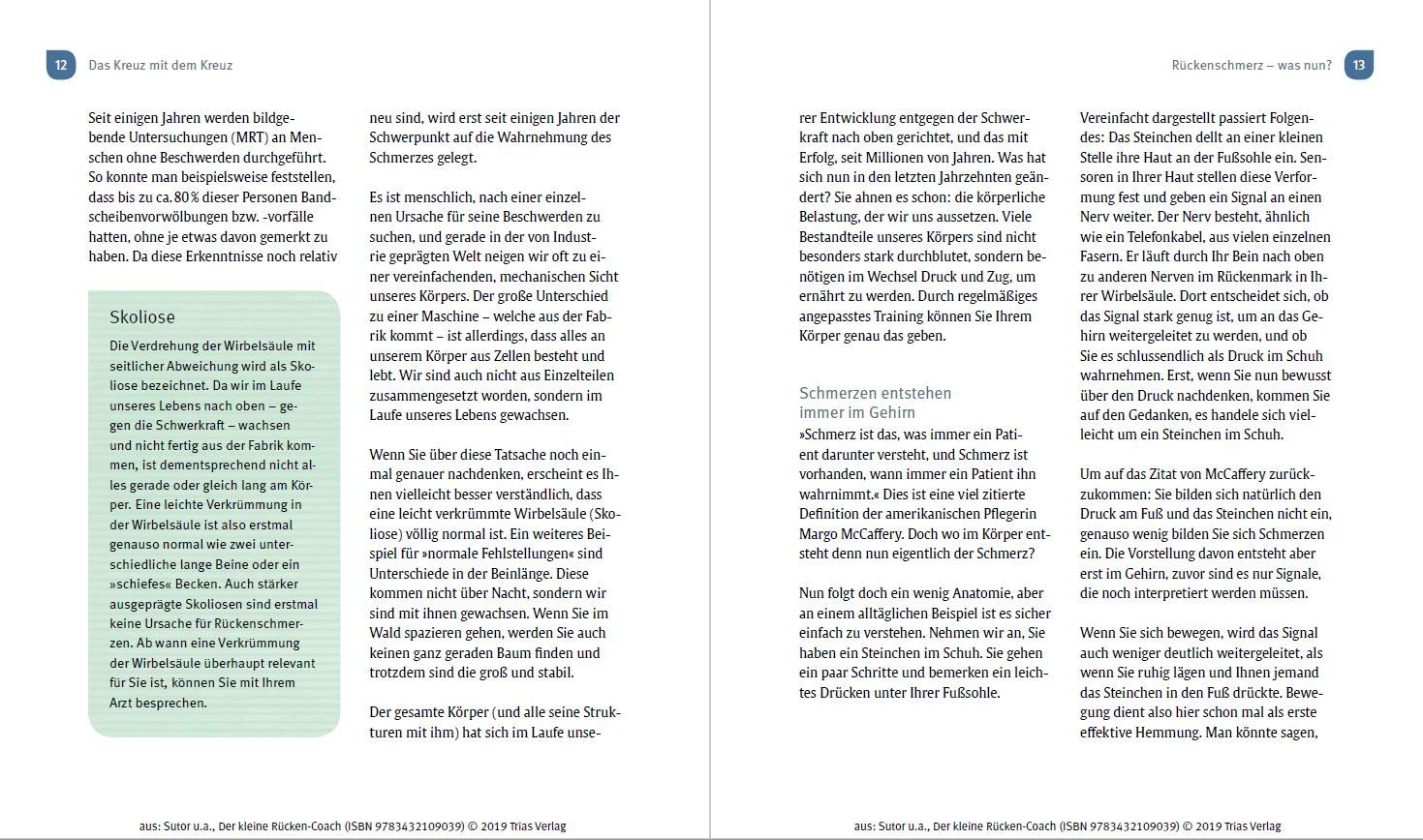 Der Kleine Rucken Coach Ubungen Gegen Kreuzschmerzen Ischias Hexenschuss Co Sutor Volker Bumb Tim Amazon Com Books