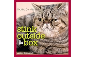Stink Outside the Box: Life Advice from Kitty