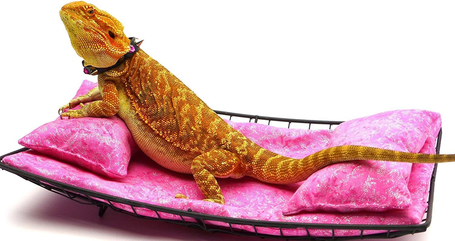 bearded dragon fabric