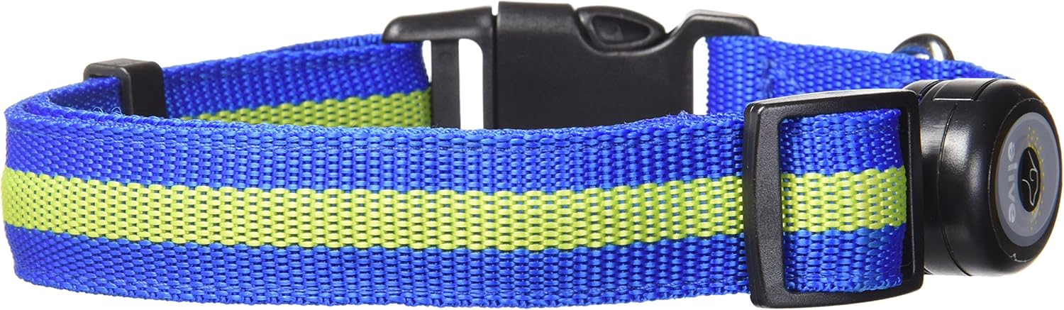 elive dog collar