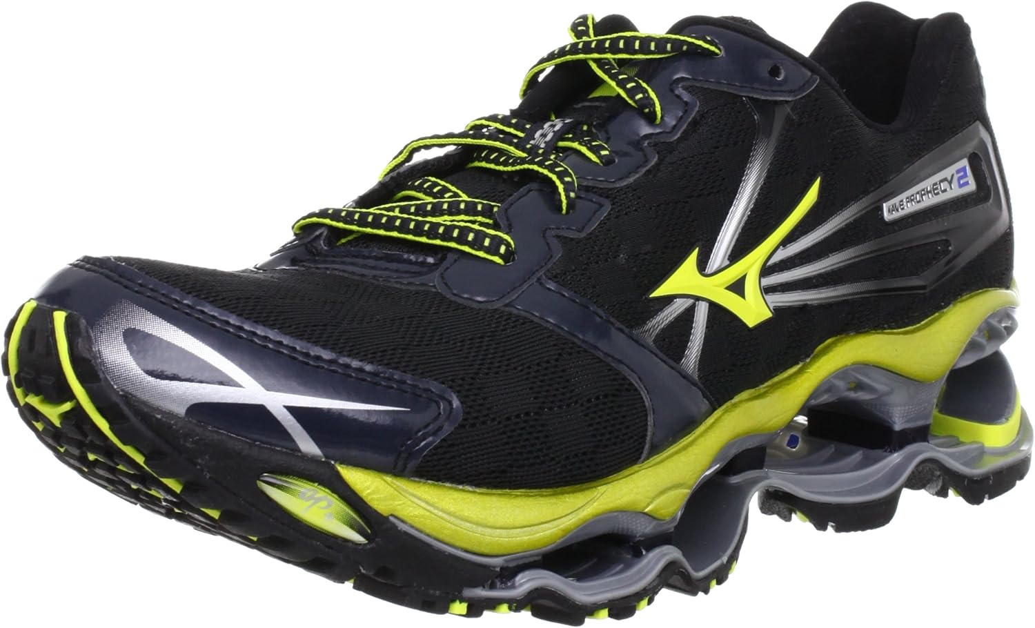 mizuno wave prophecy 2