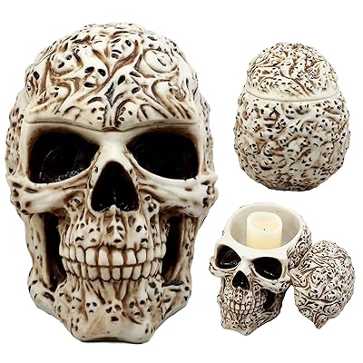 Ebros Gift Totem Ghost Spirit Skull Jewelry Box الكويت Ubuy