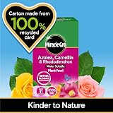 Miracle-Gro Azalea Camellia Rhododendron Soluble Plant Food 1 kg view 3