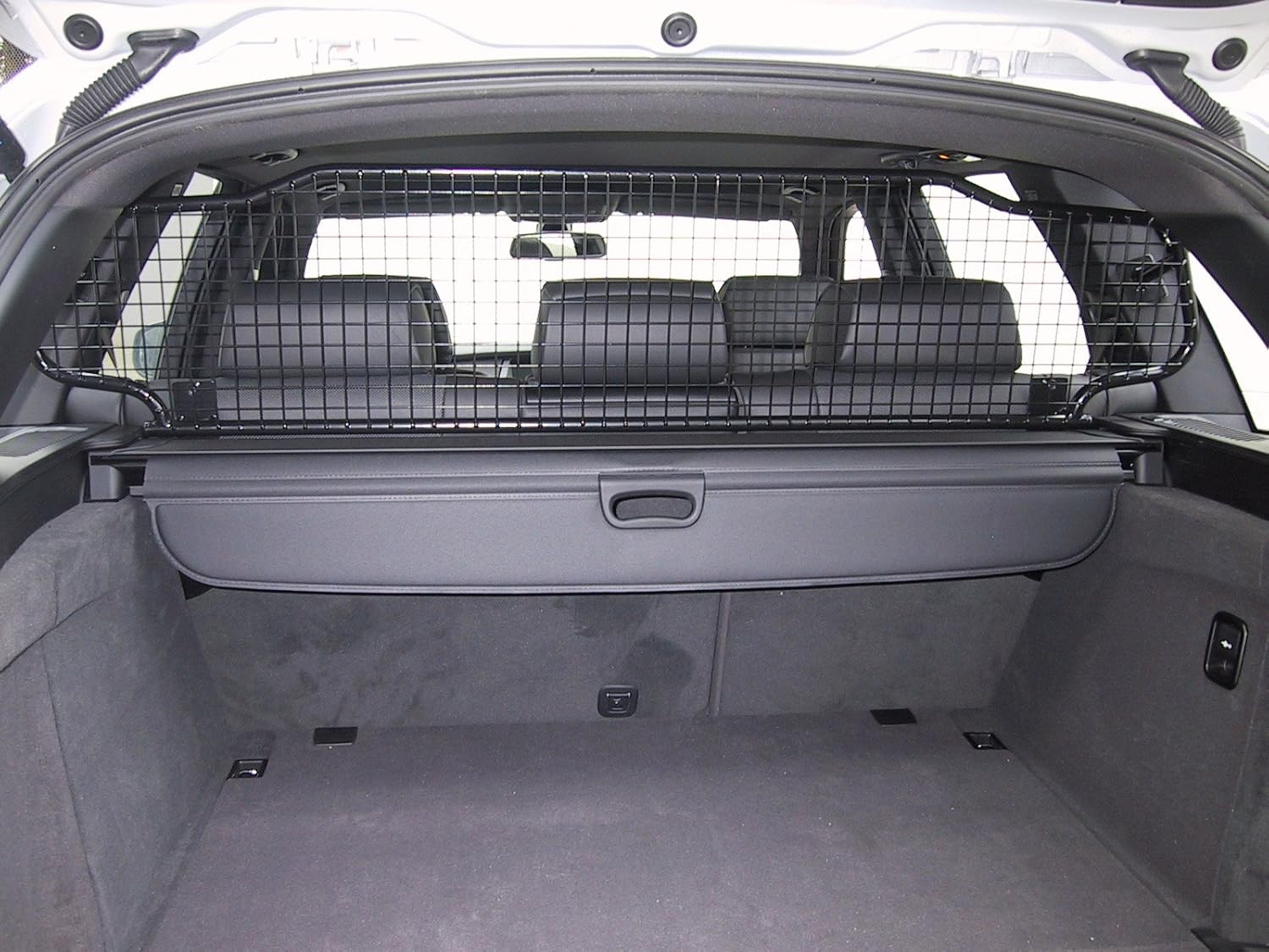 playpen training your puppy