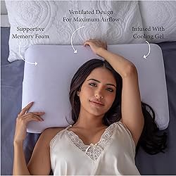 Pharmedoc Cooling Memory Foam Bed Rest Pillows, 1