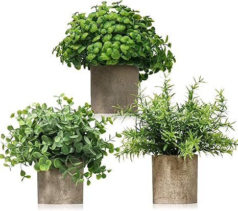 Amazon 人工植木鉢 人工鉢 3個セット ハーブの小さな観葉植物 高さ6 8 8 8インチ 屋内植物 テーブルトップ 装飾センター 人工観葉植物 オンライン通販