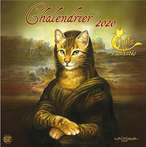 Download Calendrier 2020 Les Chats enchantés PDF