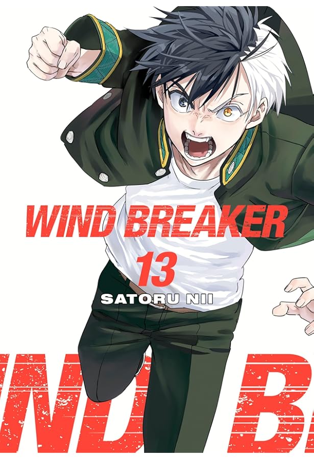 WIND BREAKER 14: Nii, Satoru: 9781646519613: Amazon.com: Books