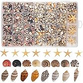 1200 PCS Tiny Seashells& 21 Starfish Mixed Bulk Beach Small Shells for Home Decor, Beach Theme Party Decorations, Fish Tank Aquarium Decor, Sea Shells for Crafting Vase Filler, Beach Candle