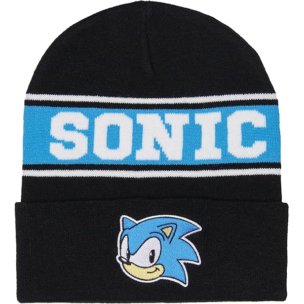 ソニックビーニー Amazon.com: Sonic The Hedgehog 3D Collectors Edition Costume